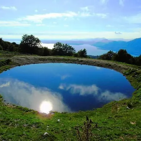 Blue Patch - Shared *