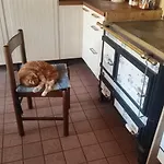 Habitación en casa particular Blue Patch - Shared