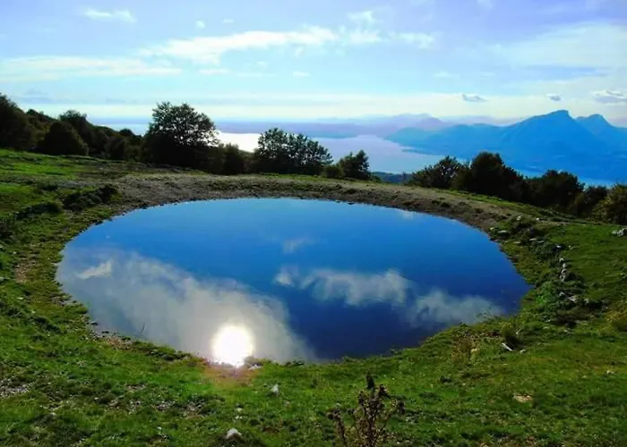 Blue Patch - Shared *