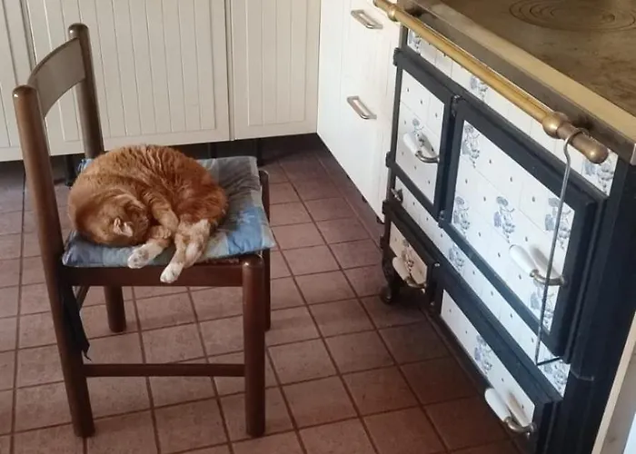 Ubytování v soukromí Blue Patch - Shared